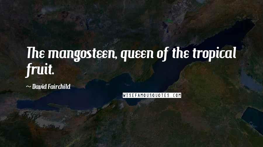 David Fairchild Quotes: The mangosteen, queen of the tropical fruit.