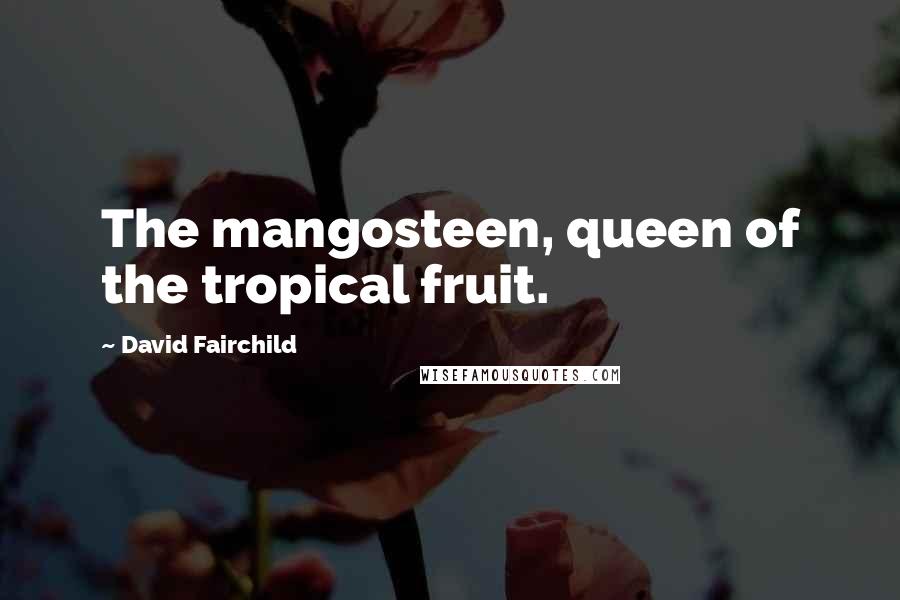 David Fairchild Quotes: The mangosteen, queen of the tropical fruit.