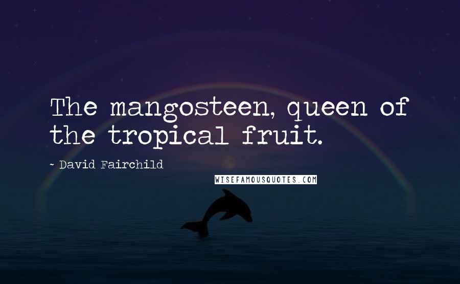 David Fairchild Quotes: The mangosteen, queen of the tropical fruit.