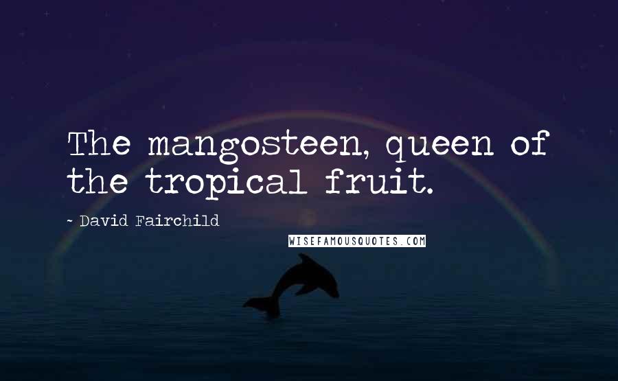 David Fairchild Quotes: The mangosteen, queen of the tropical fruit.