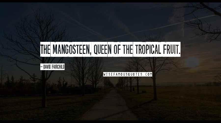 David Fairchild Quotes: The mangosteen, queen of the tropical fruit.