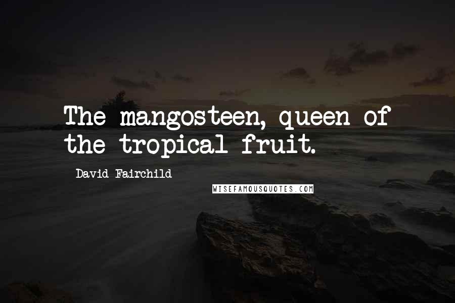 David Fairchild Quotes: The mangosteen, queen of the tropical fruit.