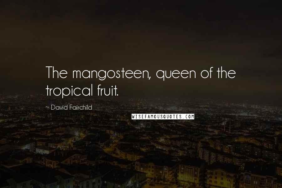 David Fairchild Quotes: The mangosteen, queen of the tropical fruit.