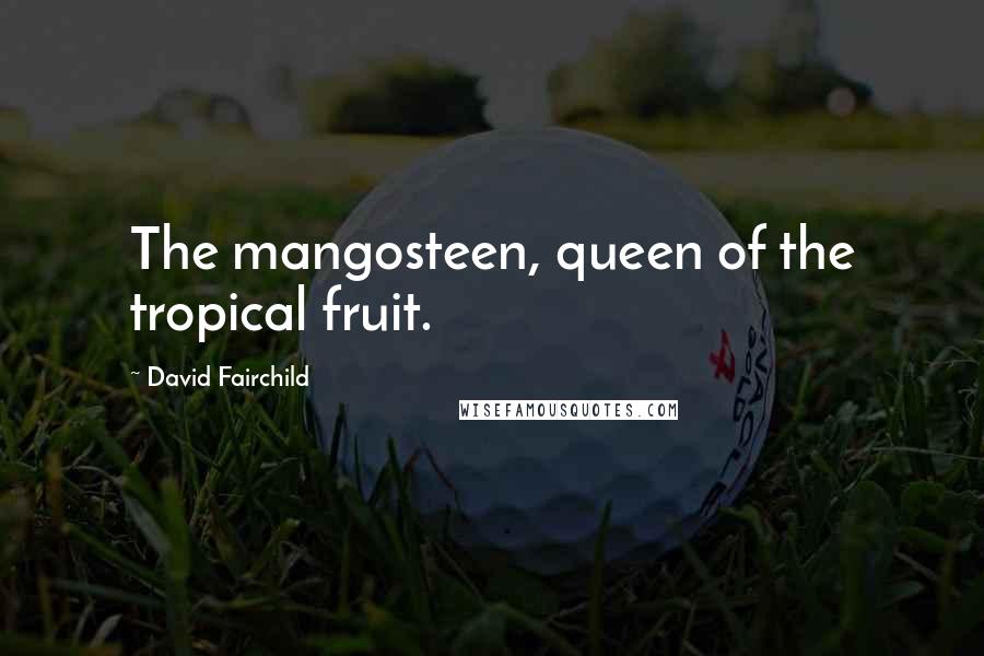 David Fairchild Quotes: The mangosteen, queen of the tropical fruit.