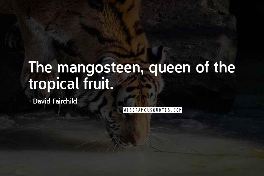 David Fairchild Quotes: The mangosteen, queen of the tropical fruit.