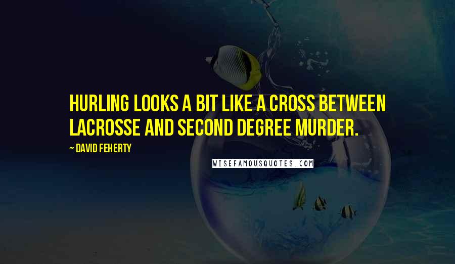 David Feherty Quotes: Hurling looks a bit like a cross between lacrosse and second degree murder.