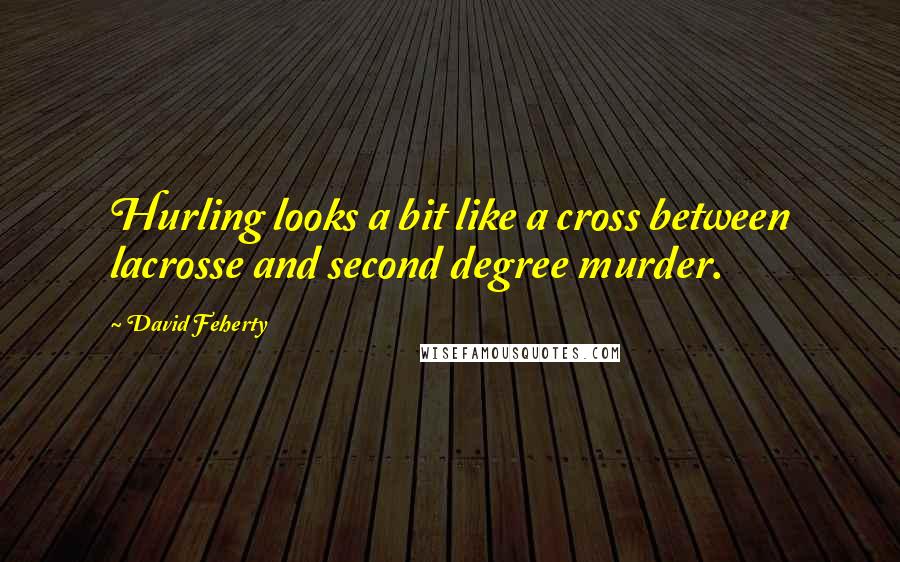 David Feherty Quotes: Hurling looks a bit like a cross between lacrosse and second degree murder.