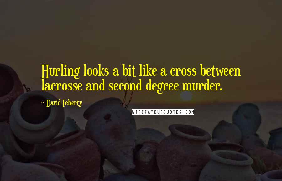 David Feherty Quotes: Hurling looks a bit like a cross between lacrosse and second degree murder.