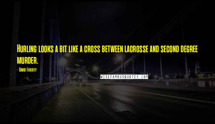 David Feherty Quotes: Hurling looks a bit like a cross between lacrosse and second degree murder.