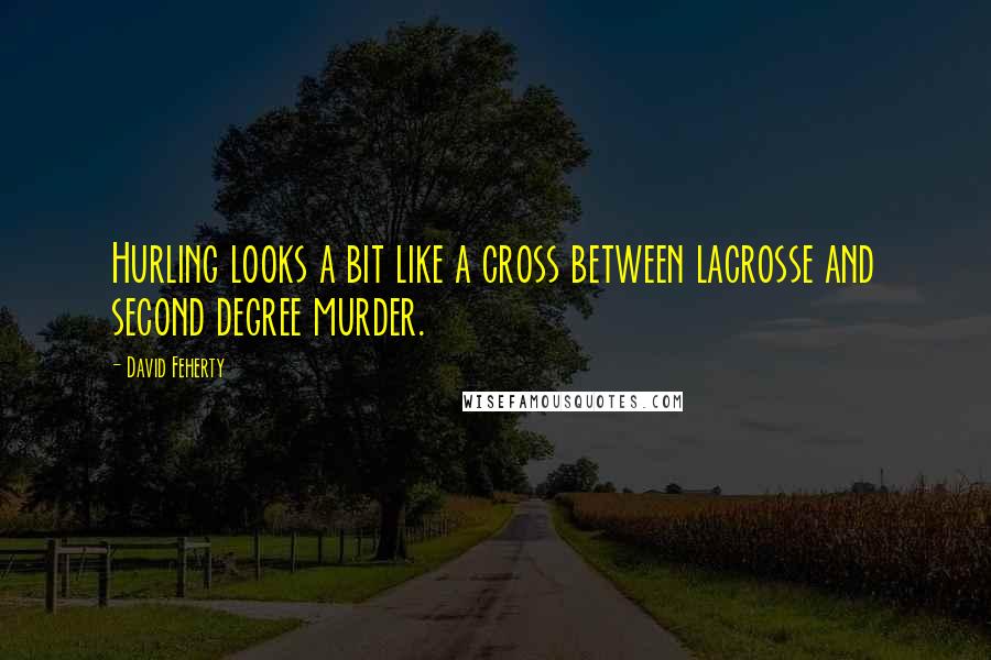 David Feherty Quotes: Hurling looks a bit like a cross between lacrosse and second degree murder.