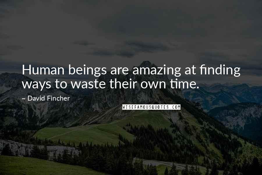 David Fincher Quotes: Human beings are amazing at finding ways to waste their own time.