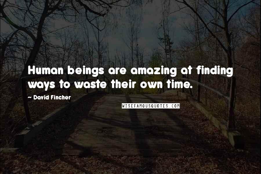 David Fincher Quotes: Human beings are amazing at finding ways to waste their own time.