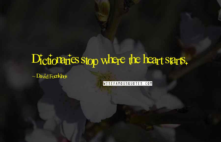 David Foenkinos Quotes: Dictionaries stop where the heart starts.