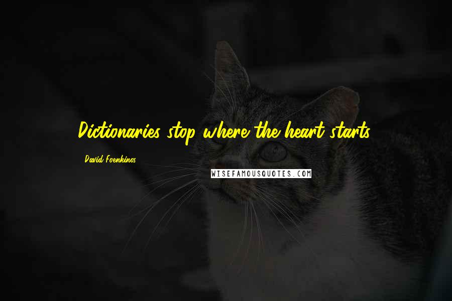 David Foenkinos Quotes: Dictionaries stop where the heart starts.