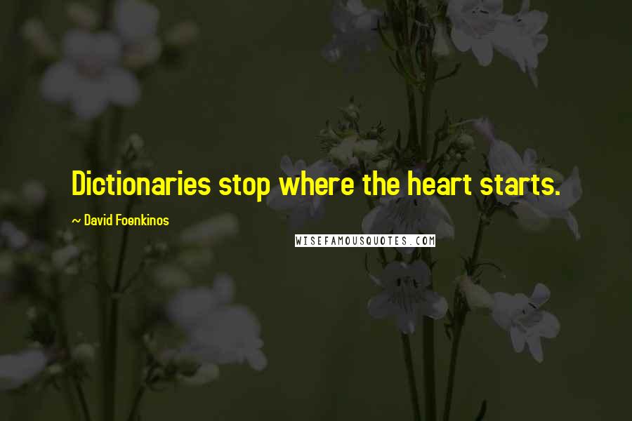 David Foenkinos Quotes: Dictionaries stop where the heart starts.