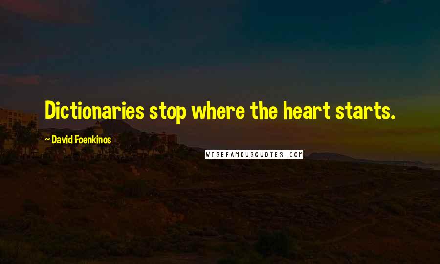 David Foenkinos Quotes: Dictionaries stop where the heart starts.