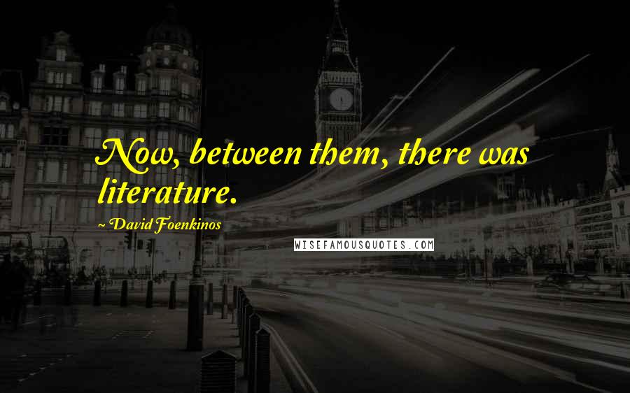 David Foenkinos Quotes: Now, between them, there was literature.