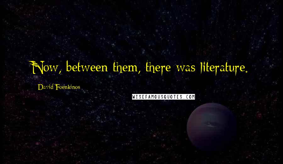 David Foenkinos Quotes: Now, between them, there was literature.