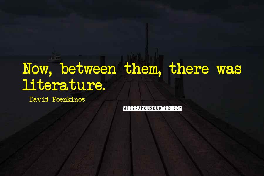 David Foenkinos Quotes: Now, between them, there was literature.