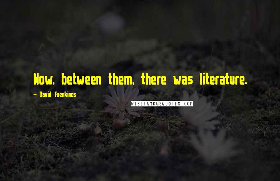 David Foenkinos Quotes: Now, between them, there was literature.