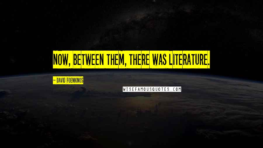 David Foenkinos Quotes: Now, between them, there was literature.