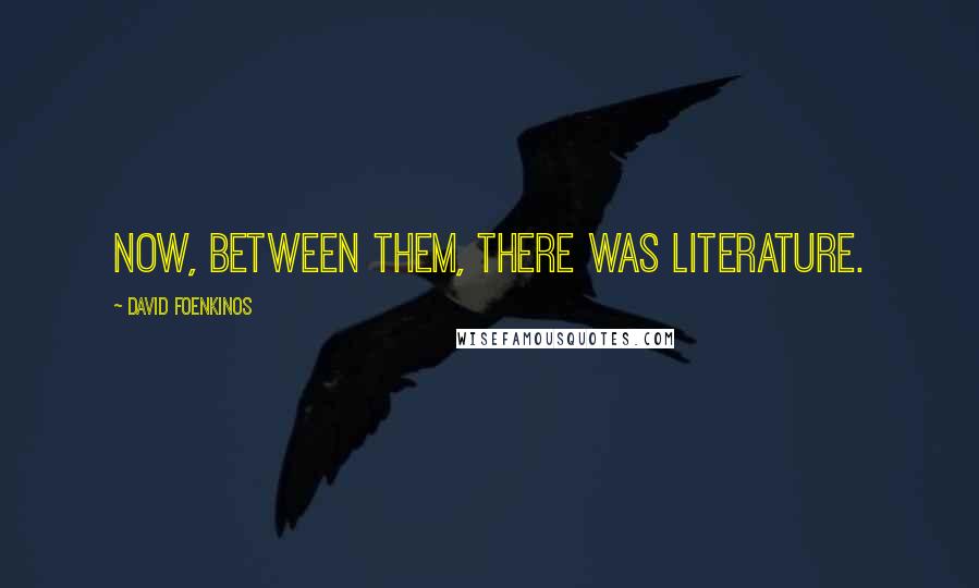 David Foenkinos Quotes: Now, between them, there was literature.