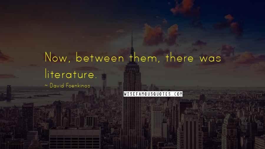 David Foenkinos Quotes: Now, between them, there was literature.