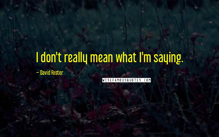 David Foster Quotes: I don't really mean what I'm saying.