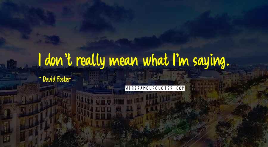 David Foster Quotes: I don't really mean what I'm saying.
