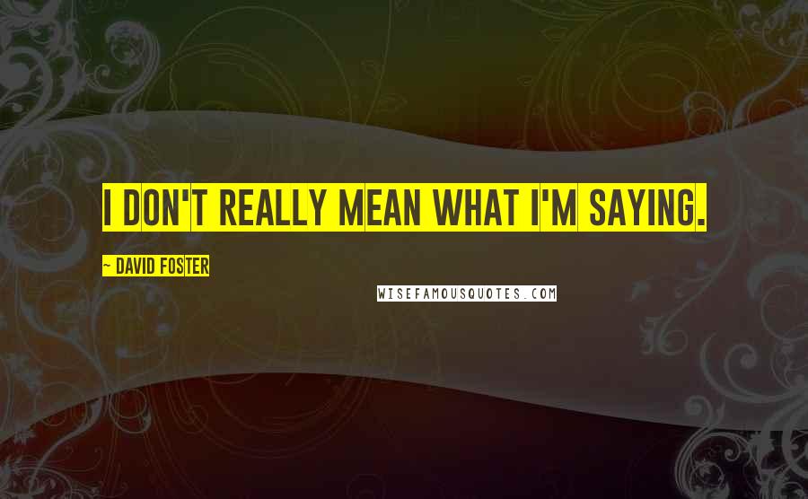 David Foster Quotes: I don't really mean what I'm saying.