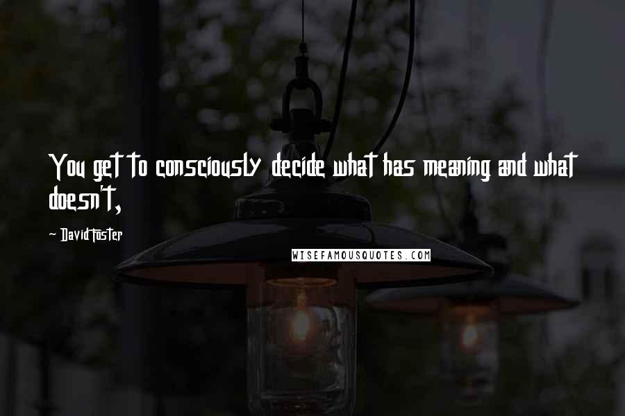 David Foster Quotes: You get to consciously decide what has meaning and what doesn't,