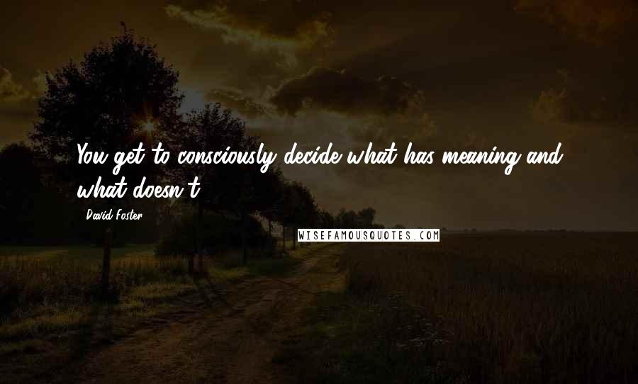 David Foster Quotes: You get to consciously decide what has meaning and what doesn't,