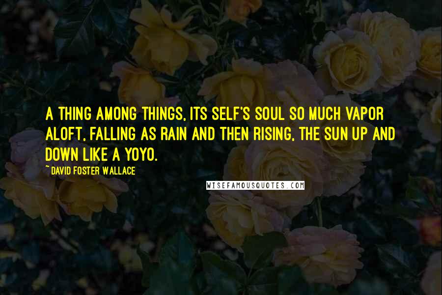David Foster Wallace Quotes: A thing among things, its self's soul so much vapor aloft, falling as rain and then rising, the sun up and down like a yoyo.