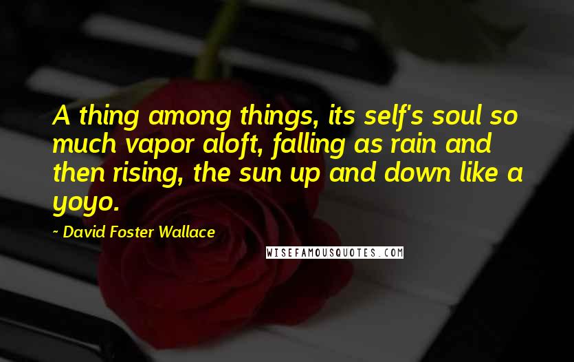 David Foster Wallace Quotes: A thing among things, its self's soul so much vapor aloft, falling as rain and then rising, the sun up and down like a yoyo.