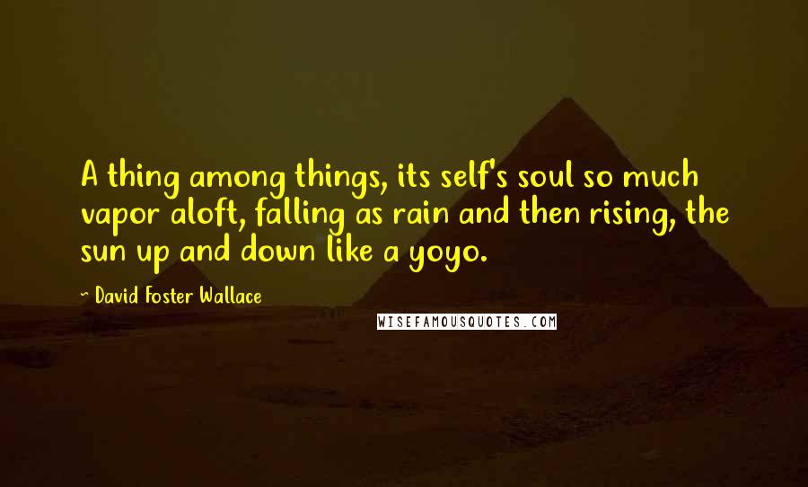 David Foster Wallace Quotes: A thing among things, its self's soul so much vapor aloft, falling as rain and then rising, the sun up and down like a yoyo.