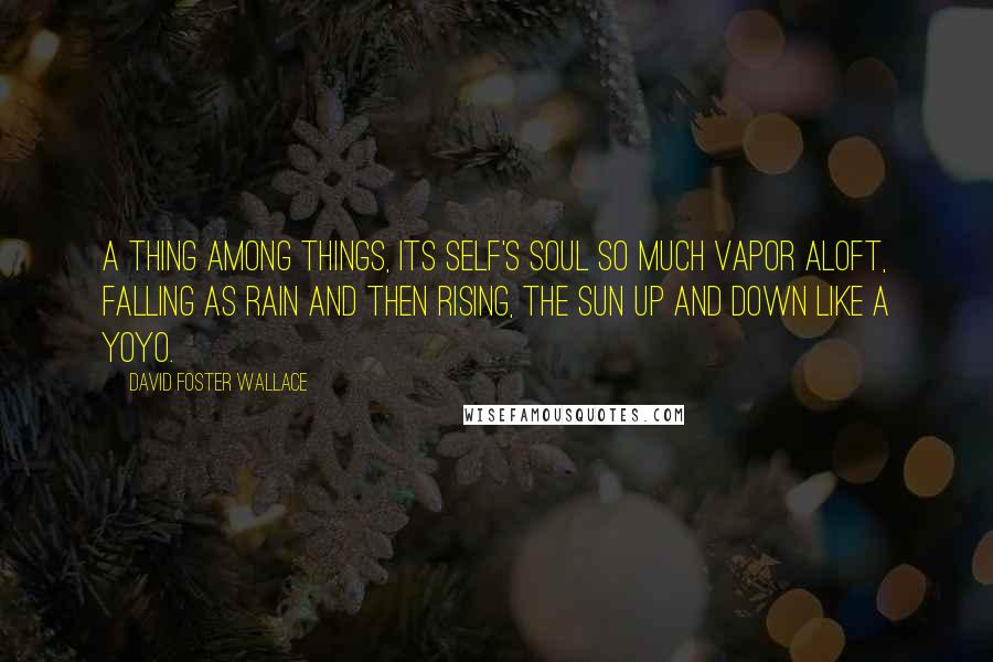 David Foster Wallace Quotes: A thing among things, its self's soul so much vapor aloft, falling as rain and then rising, the sun up and down like a yoyo.