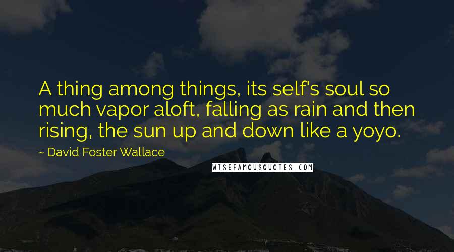 David Foster Wallace Quotes: A thing among things, its self's soul so much vapor aloft, falling as rain and then rising, the sun up and down like a yoyo.