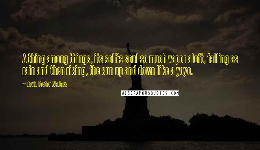 David Foster Wallace Quotes: A thing among things, its self's soul so much vapor aloft, falling as rain and then rising, the sun up and down like a yoyo.