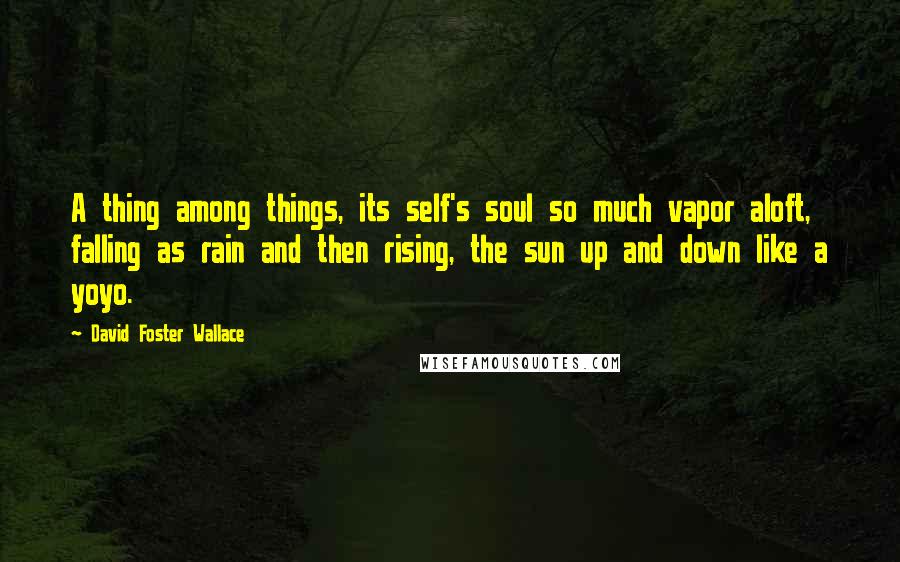 David Foster Wallace Quotes: A thing among things, its self's soul so much vapor aloft, falling as rain and then rising, the sun up and down like a yoyo.