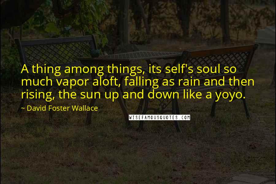 David Foster Wallace Quotes: A thing among things, its self's soul so much vapor aloft, falling as rain and then rising, the sun up and down like a yoyo.