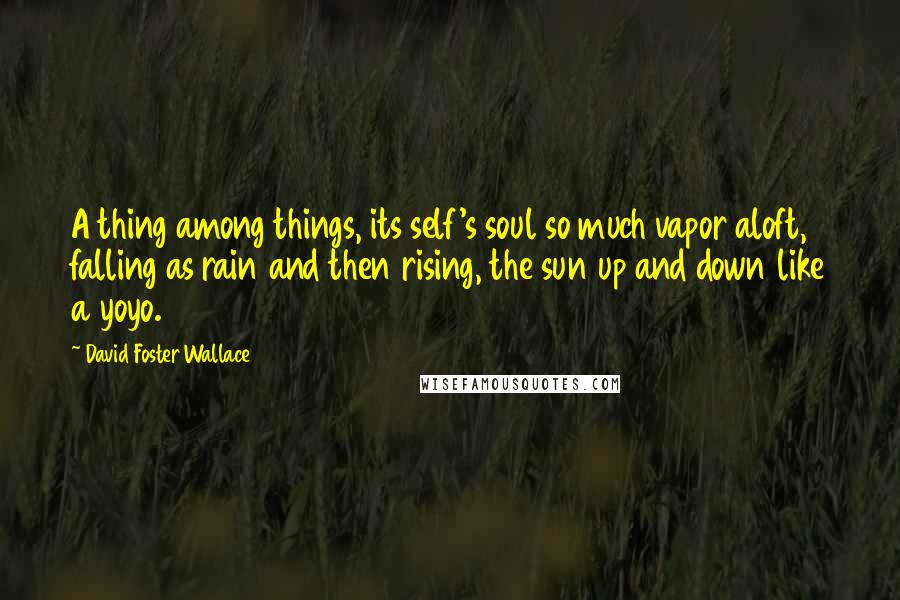David Foster Wallace Quotes: A thing among things, its self's soul so much vapor aloft, falling as rain and then rising, the sun up and down like a yoyo.