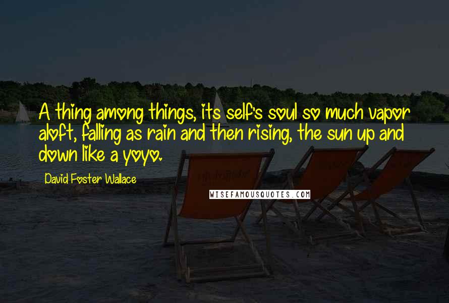 David Foster Wallace Quotes: A thing among things, its self's soul so much vapor aloft, falling as rain and then rising, the sun up and down like a yoyo.