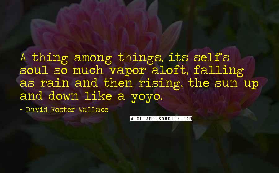 David Foster Wallace Quotes: A thing among things, its self's soul so much vapor aloft, falling as rain and then rising, the sun up and down like a yoyo.