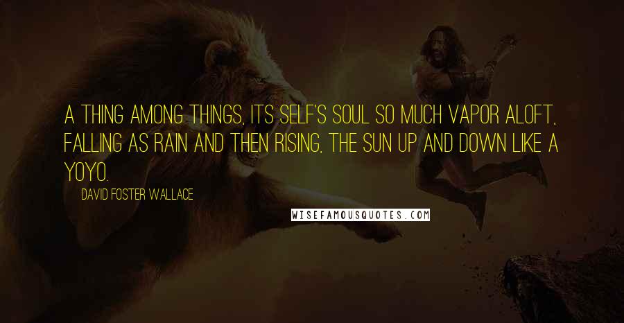 David Foster Wallace Quotes: A thing among things, its self's soul so much vapor aloft, falling as rain and then rising, the sun up and down like a yoyo.