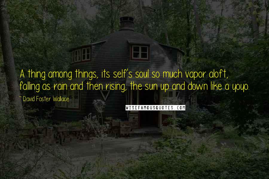 David Foster Wallace Quotes: A thing among things, its self's soul so much vapor aloft, falling as rain and then rising, the sun up and down like a yoyo.