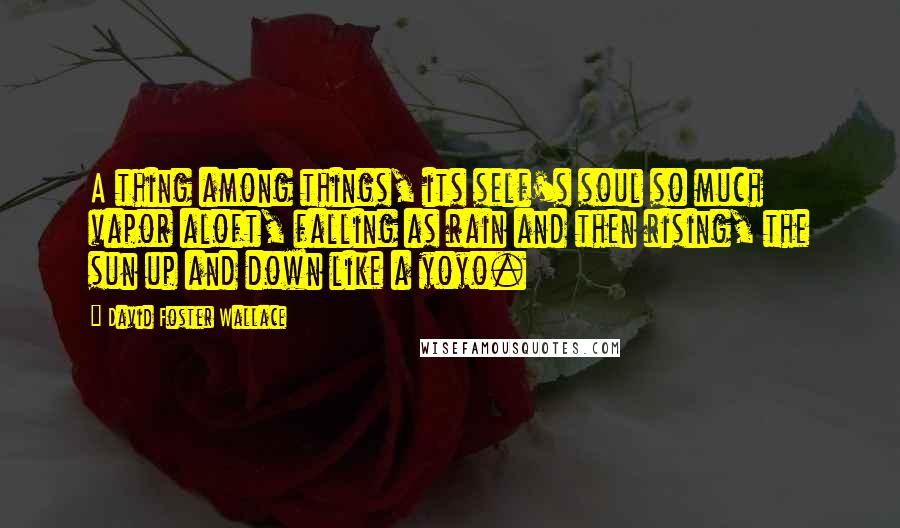 David Foster Wallace Quotes: A thing among things, its self's soul so much vapor aloft, falling as rain and then rising, the sun up and down like a yoyo.