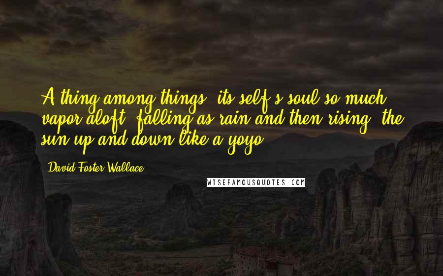 David Foster Wallace Quotes: A thing among things, its self's soul so much vapor aloft, falling as rain and then rising, the sun up and down like a yoyo.