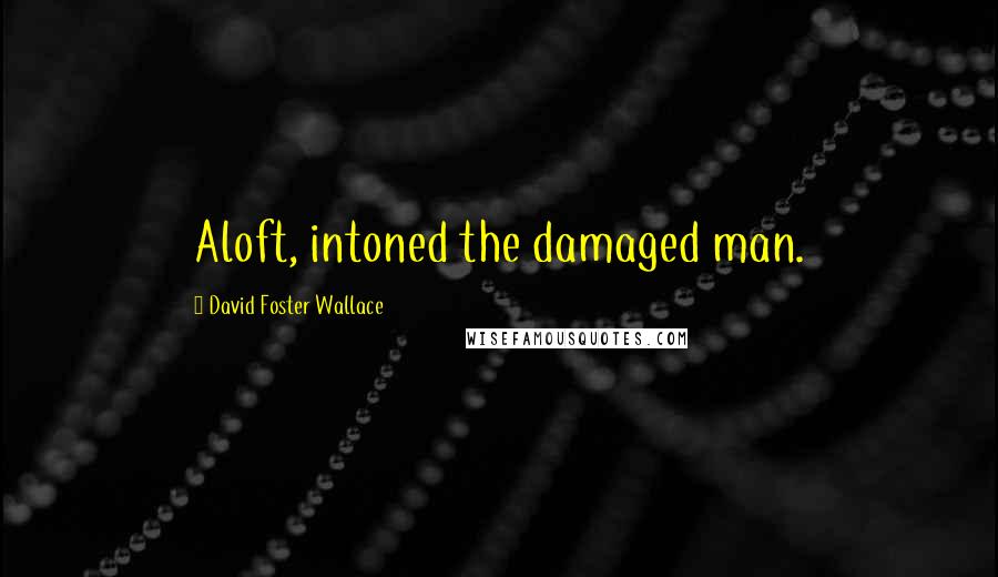 David Foster Wallace Quotes: Aloft, intoned the damaged man.