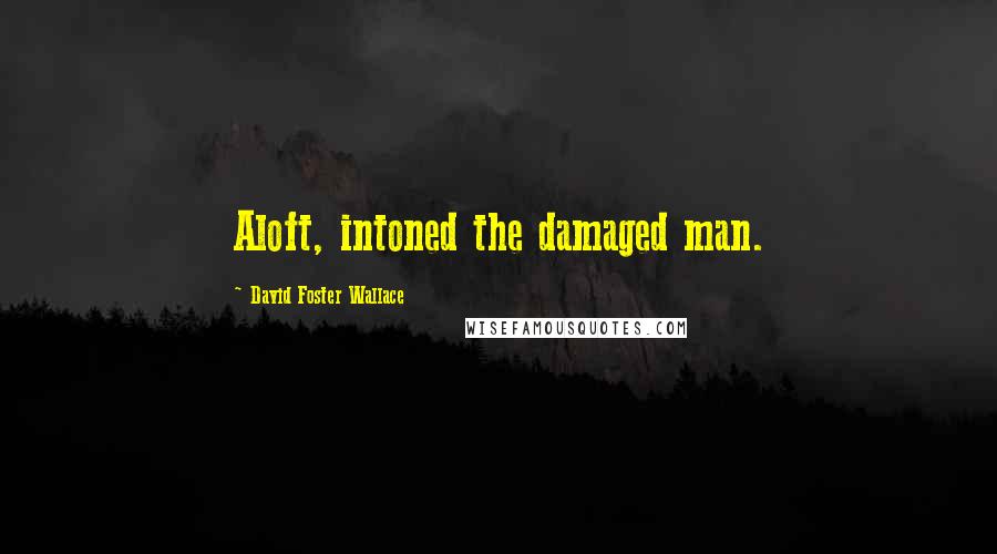 David Foster Wallace Quotes: Aloft, intoned the damaged man.