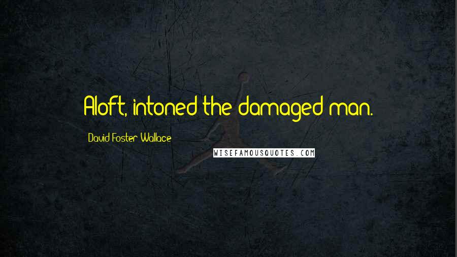 David Foster Wallace Quotes: Aloft, intoned the damaged man.